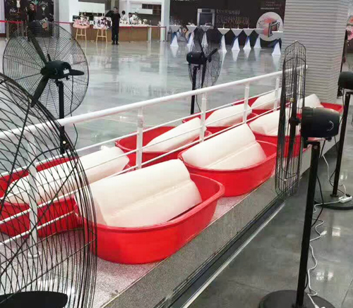 陝西国产精品麻豆电影冰塊